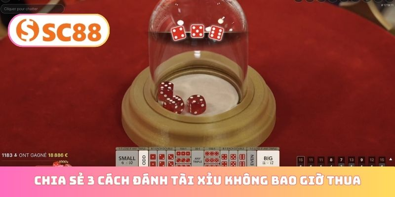 Chia sẻ 3 cách đánh tài xỉu không bao giờ thua